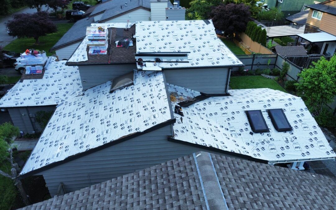 shingle roofing